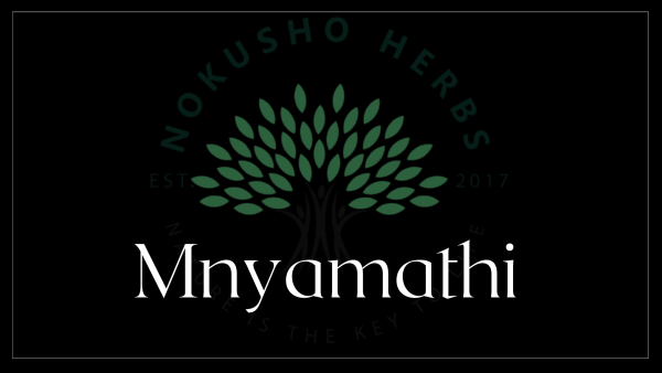 Mnyamathi