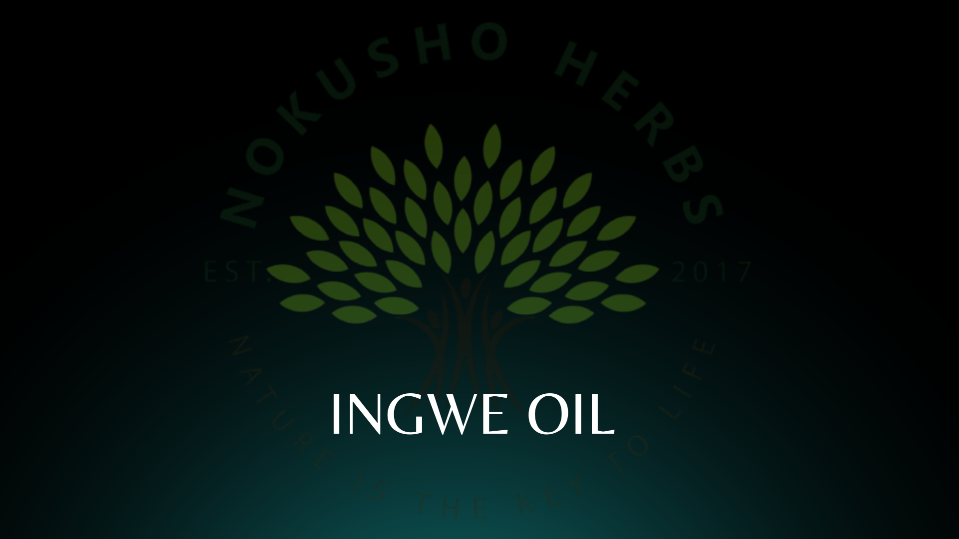 Ingwe – Nokusho Herbs